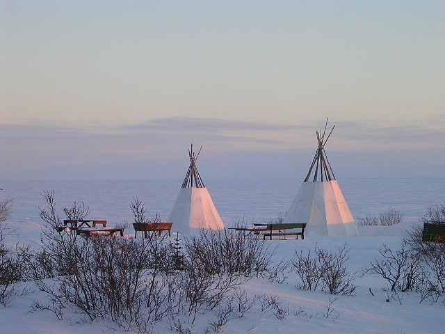 Deline tipis winter